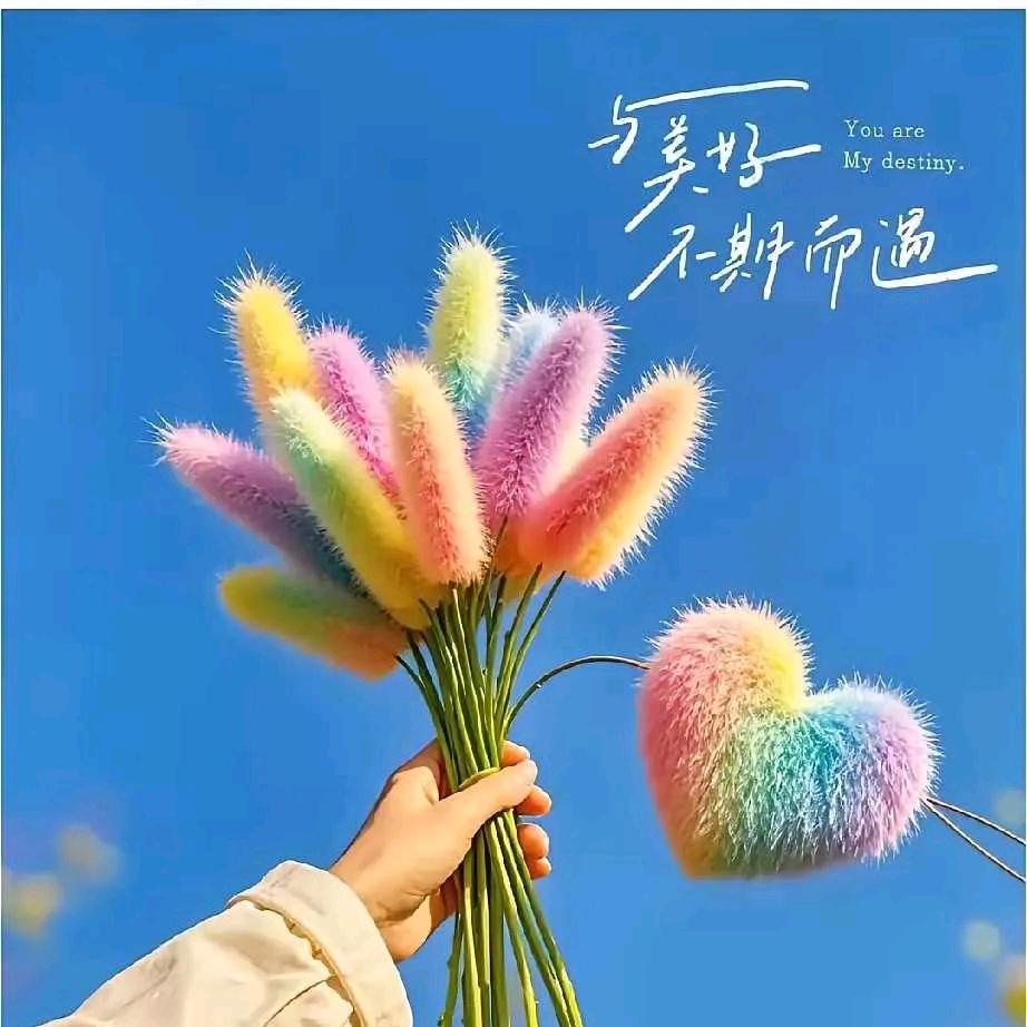 幸运宝宝