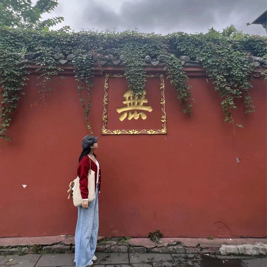 海豹同学