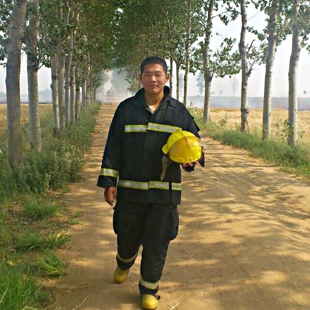 农家散养土鸽子