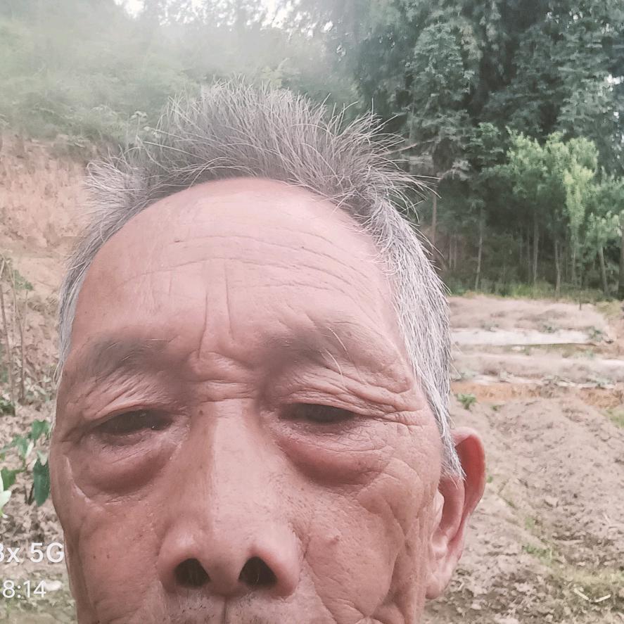 百花齐放