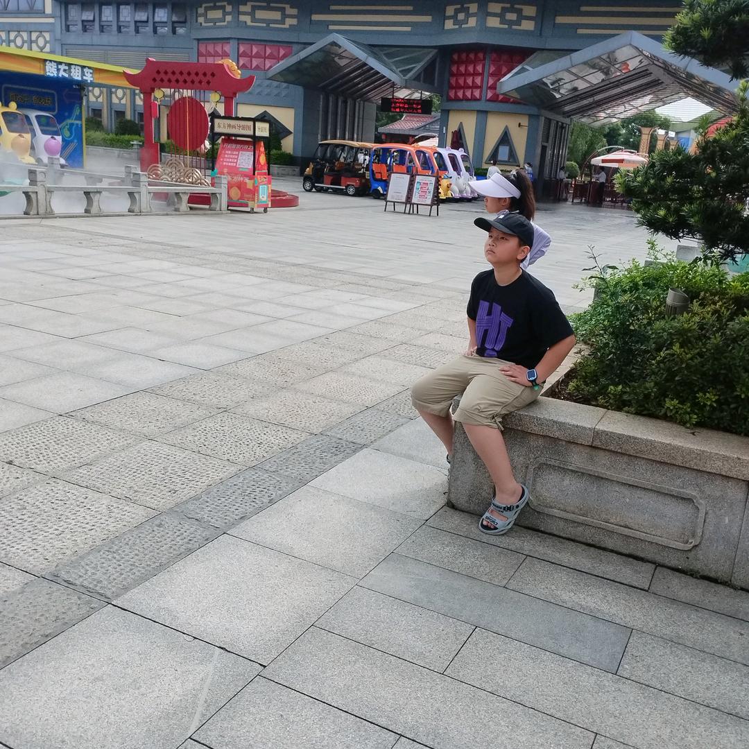南山松