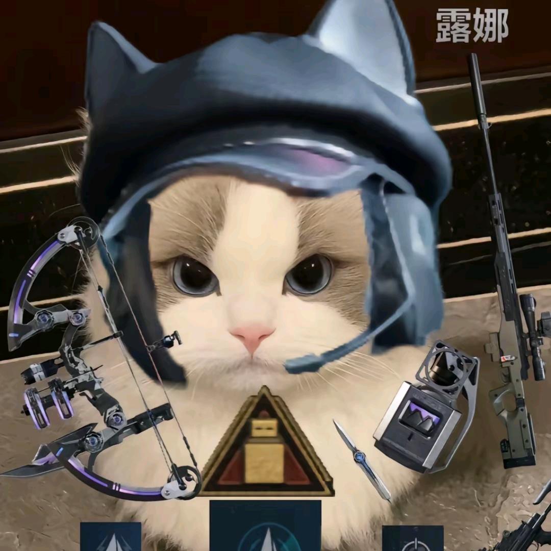 猫猫（三角洲行动）