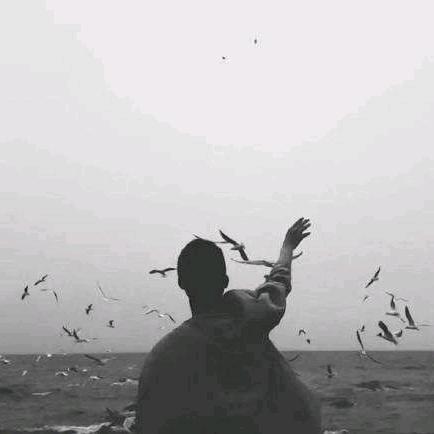 白杰克电影