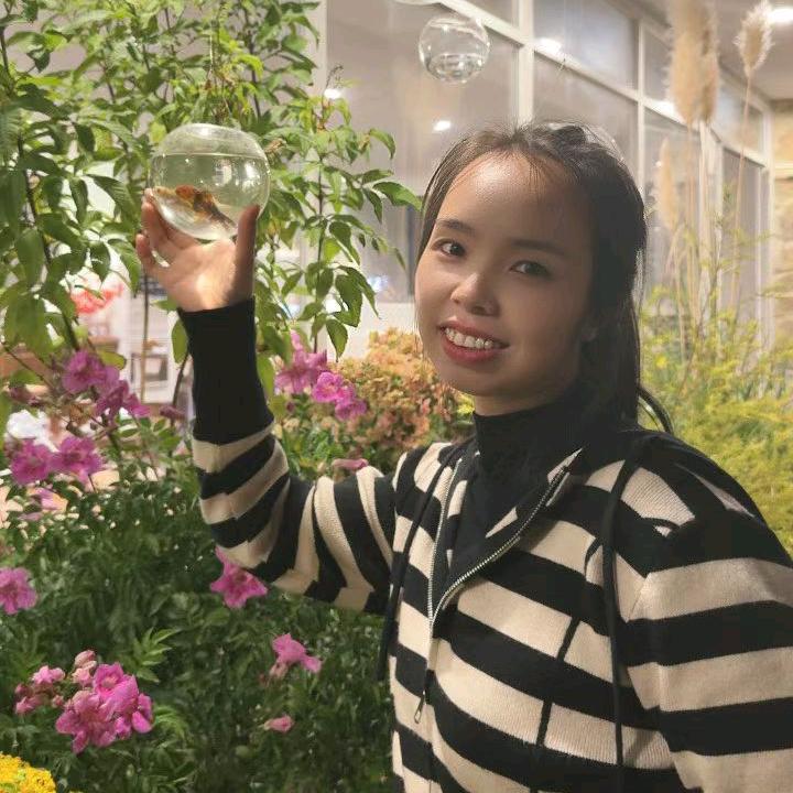 何以解忧