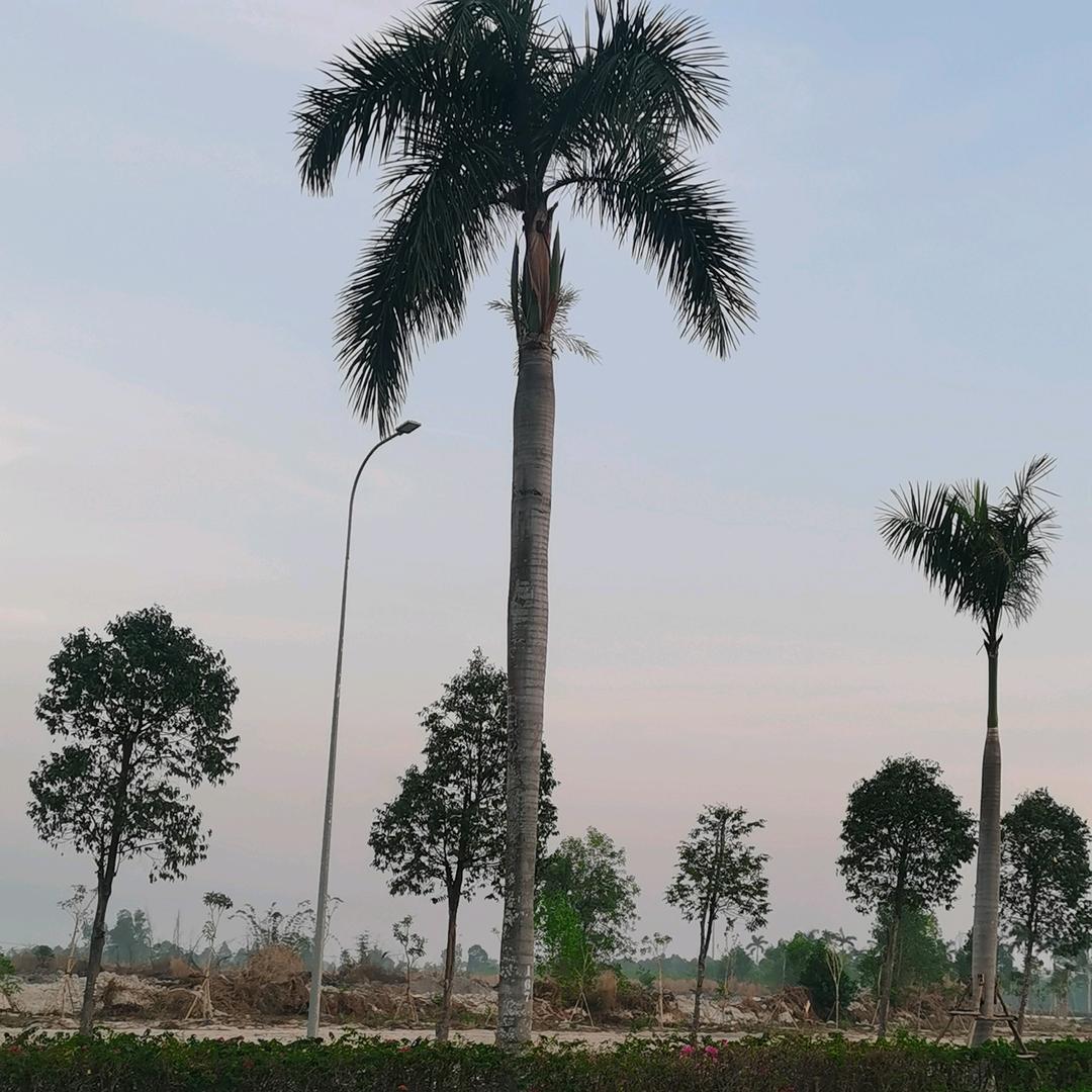Quách Tân Sơn