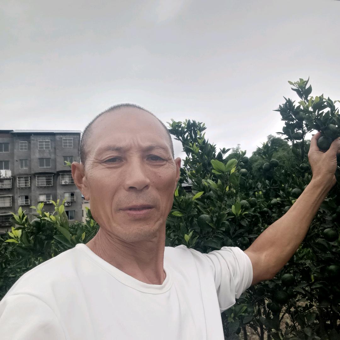 陈桃儿