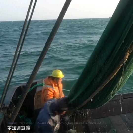 月汐渔影