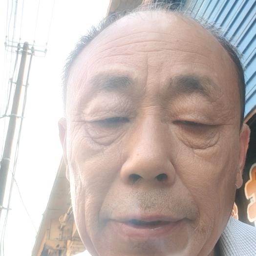 沈