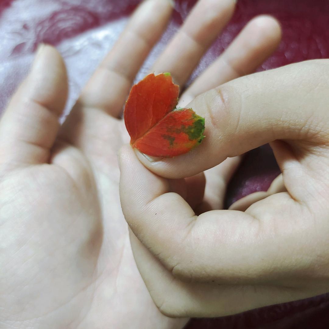 知意