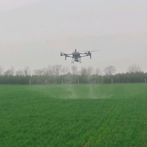 无人机飞防刚子