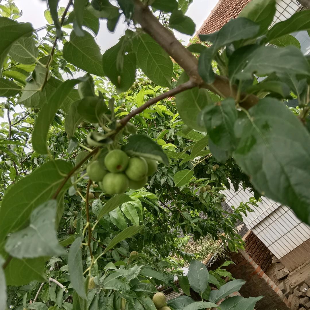 萍水相逢
