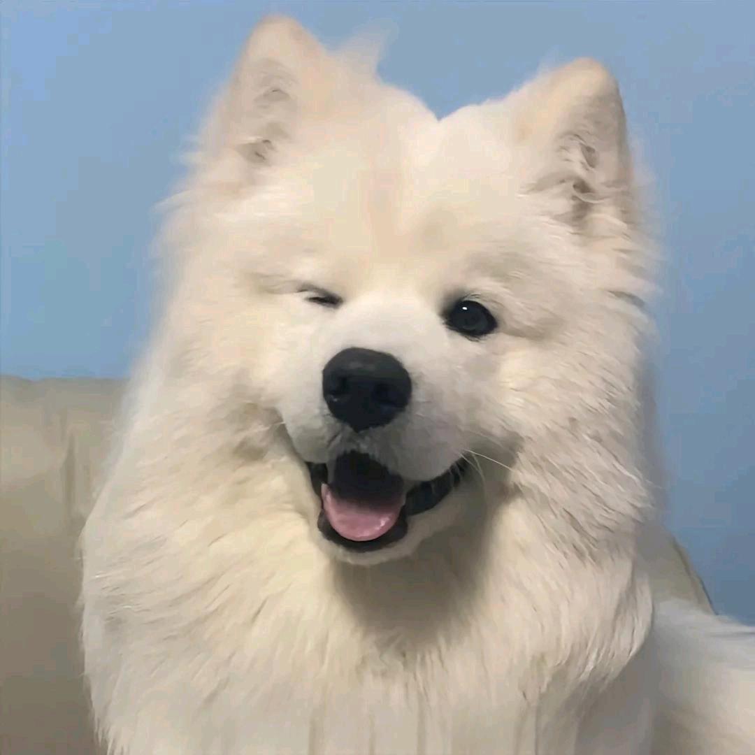 不和啥子计较就会快乐