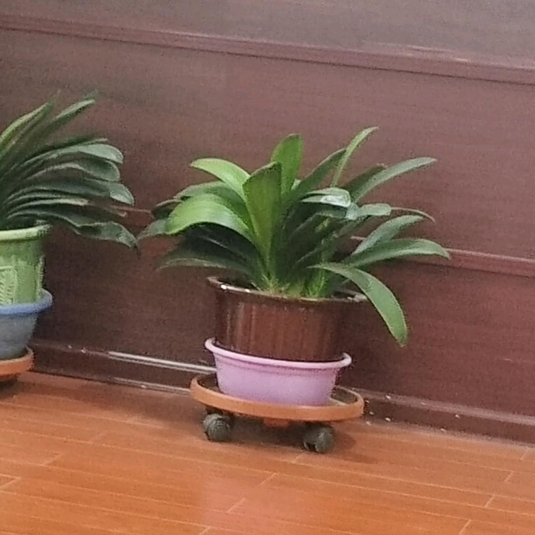 冰姐精品户外
