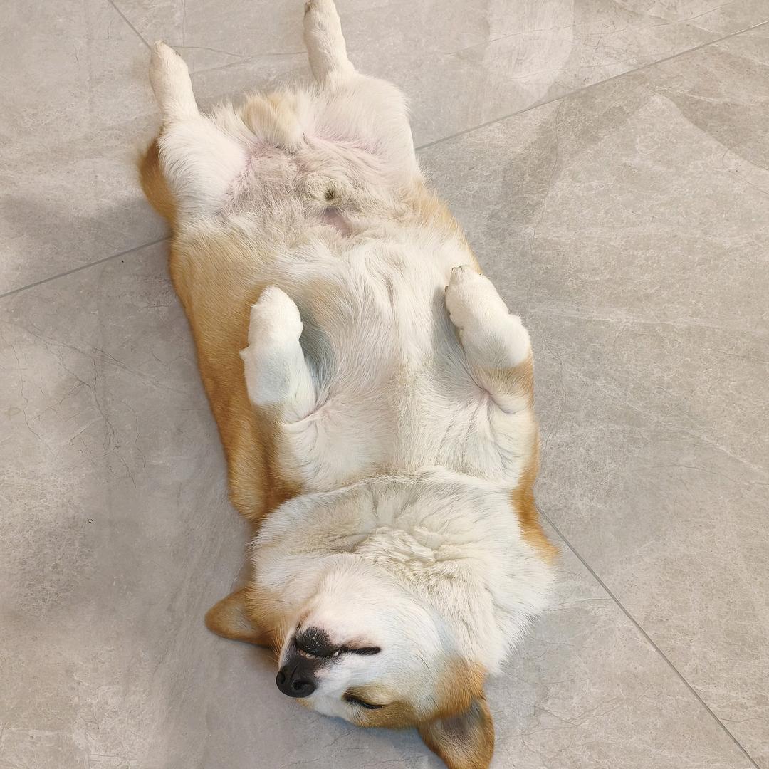 丧彪（地铁逃生）