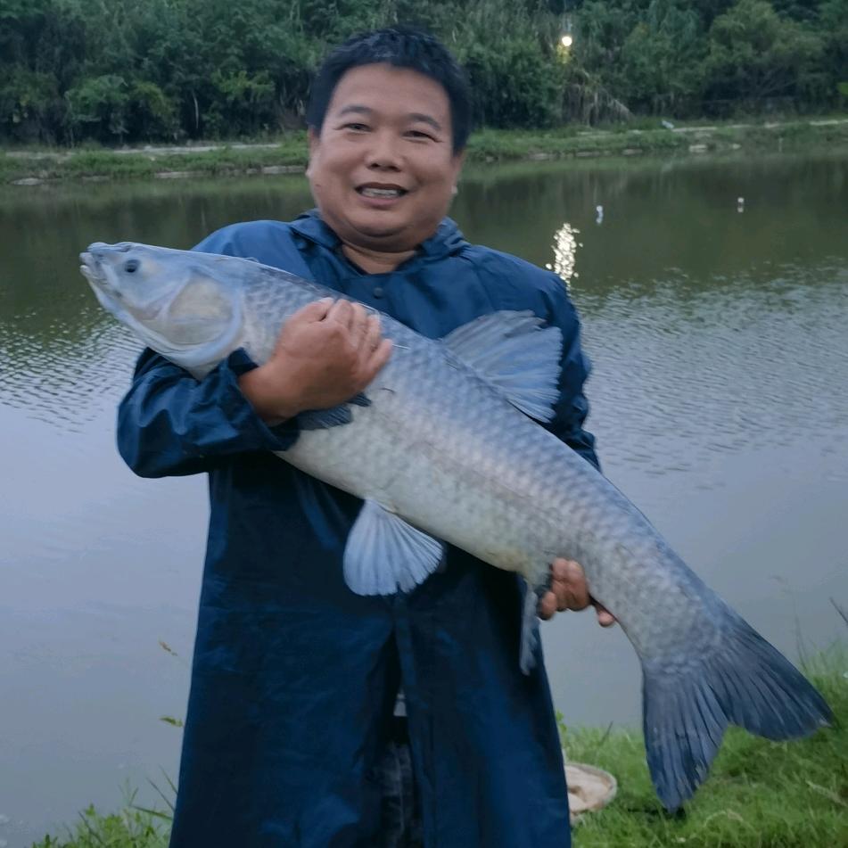 李厨钓鱼🎣