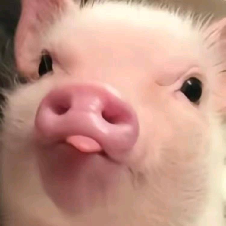 二墨迹