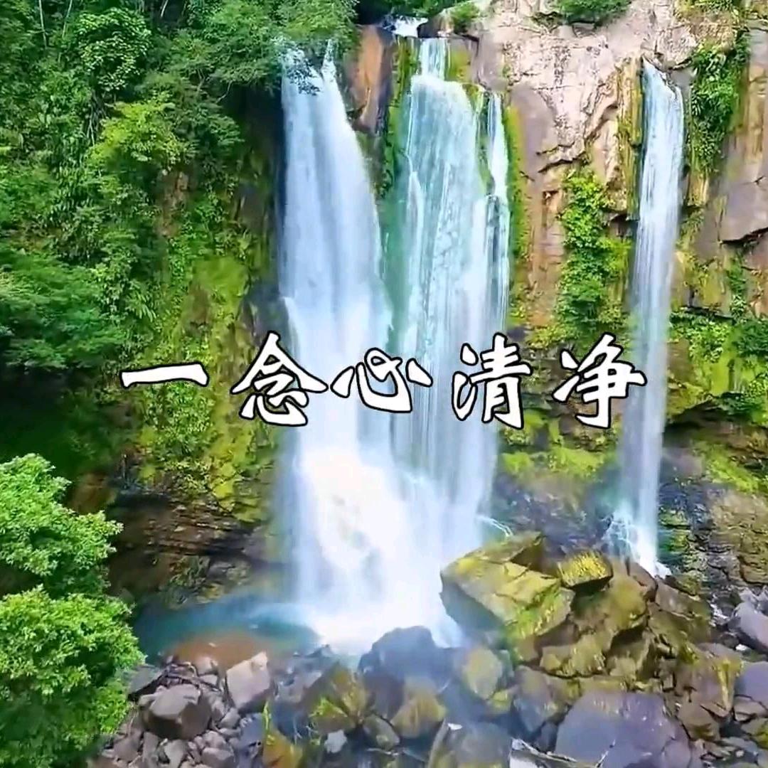 缘聚四方