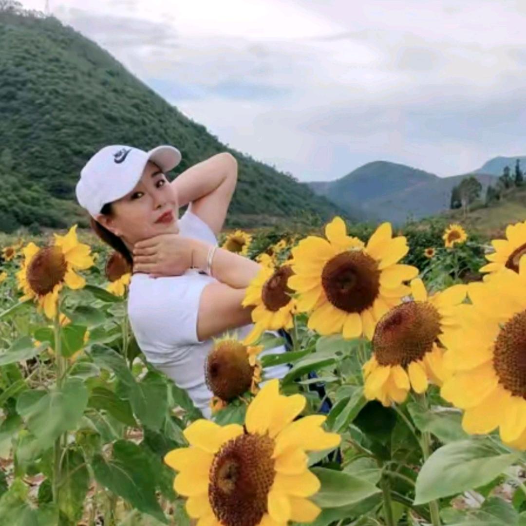 鑫宝，原创作品视频