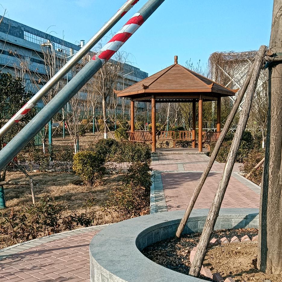 落叶不懂秋风的累