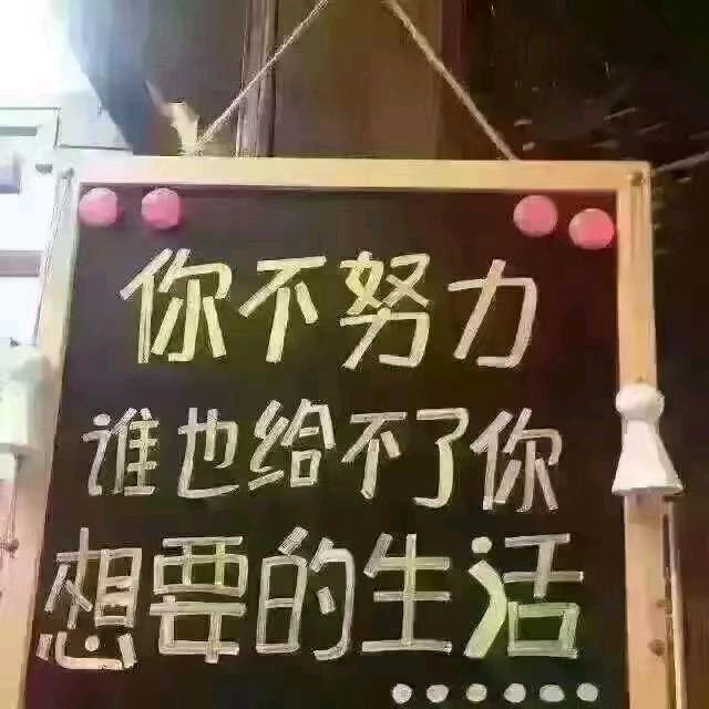一人一车游天下