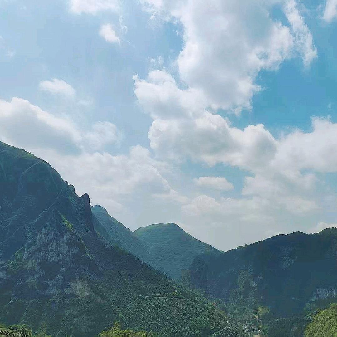 甲木