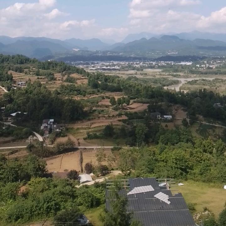杨平元