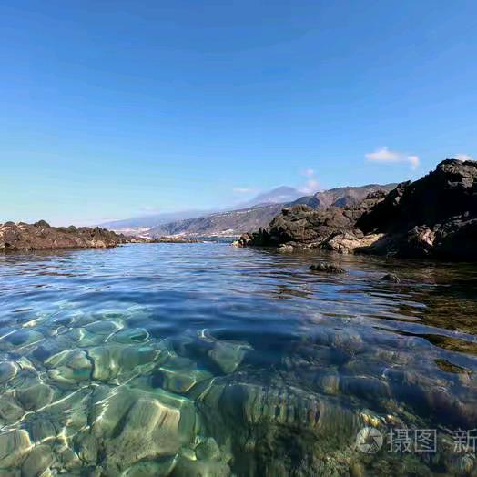 欲为大树不与草争