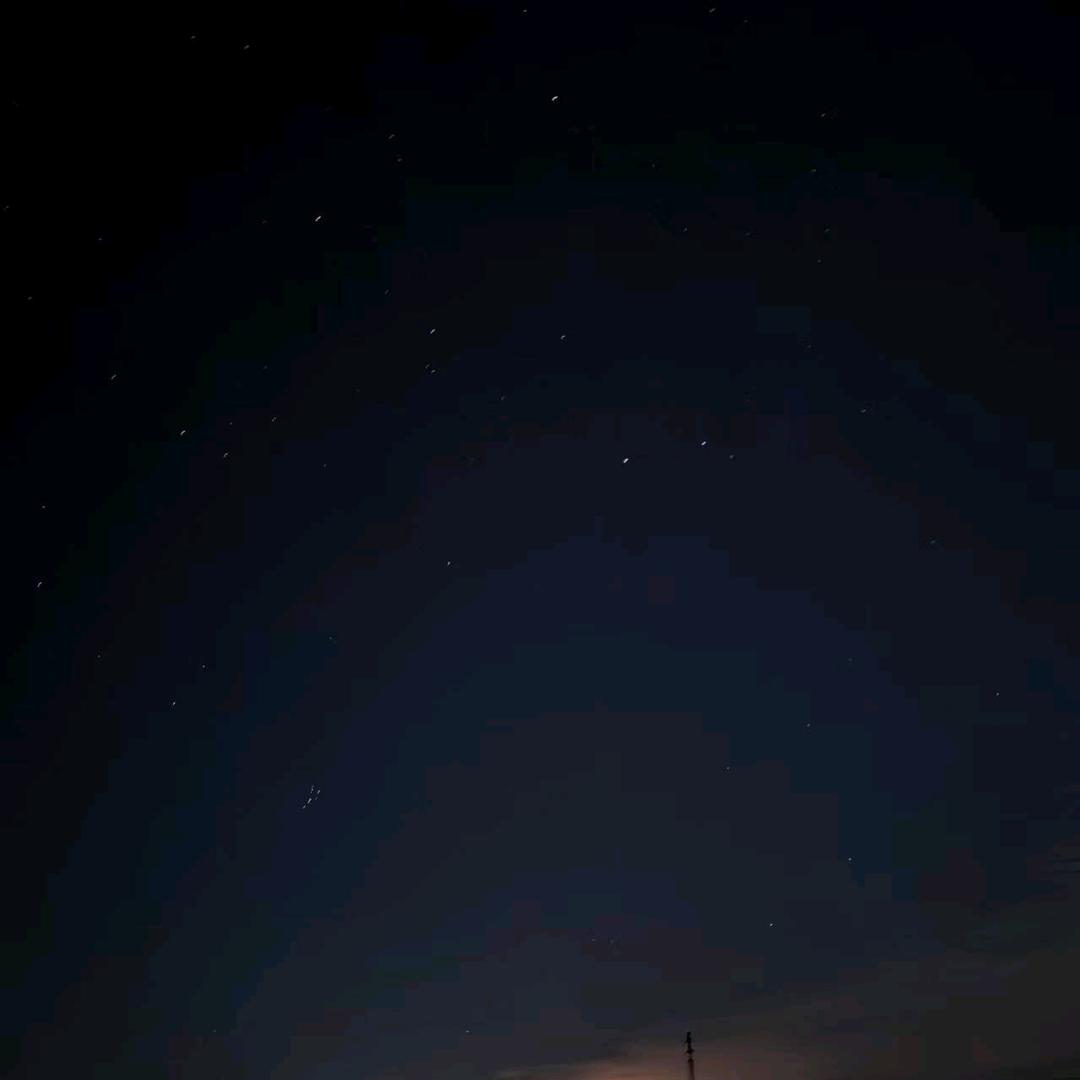 飞牛