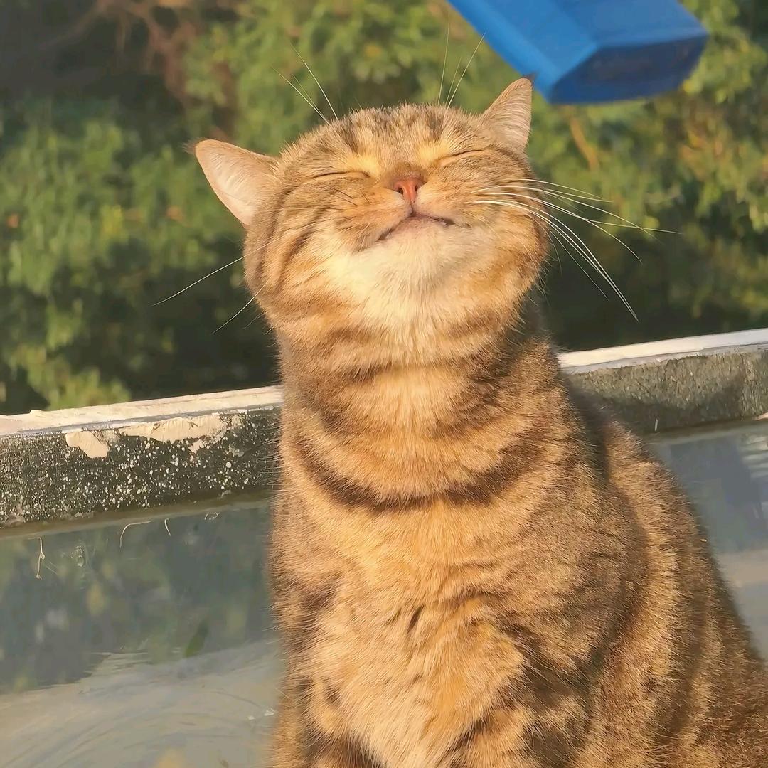 泥哈哈