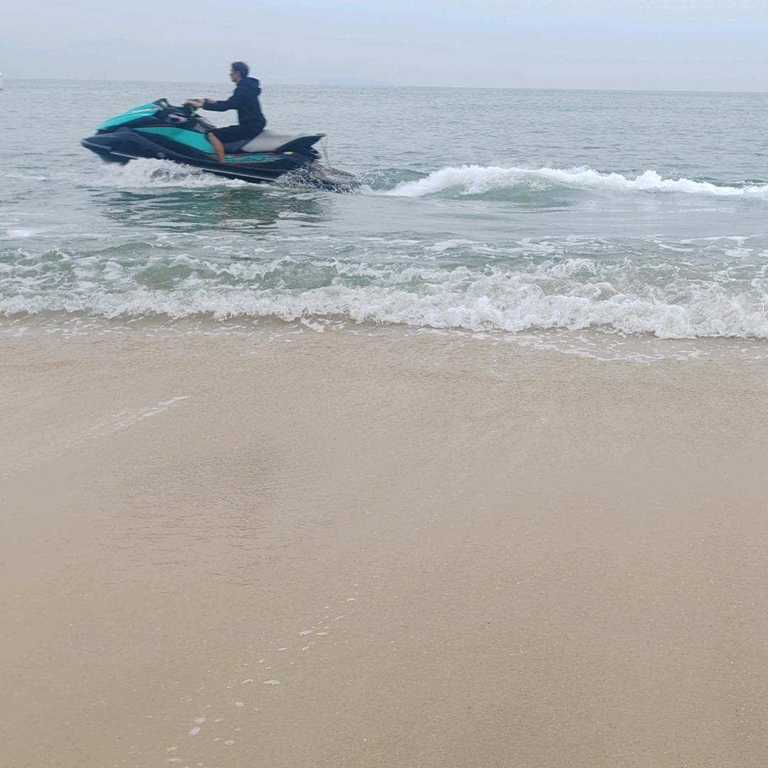 🐟爱吃猫的鱼🐟