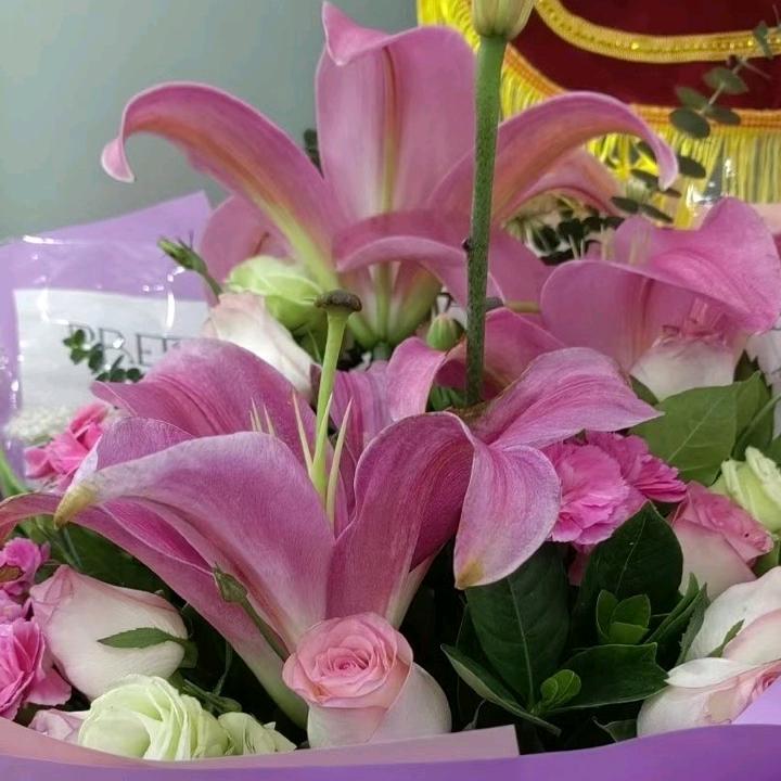 河南稻兴文化传媒有限公司