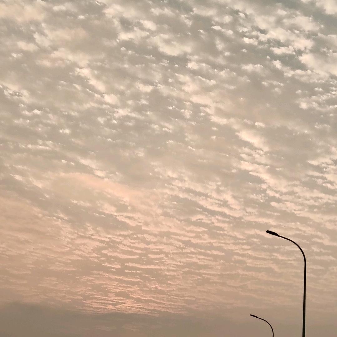 丽丽姐
