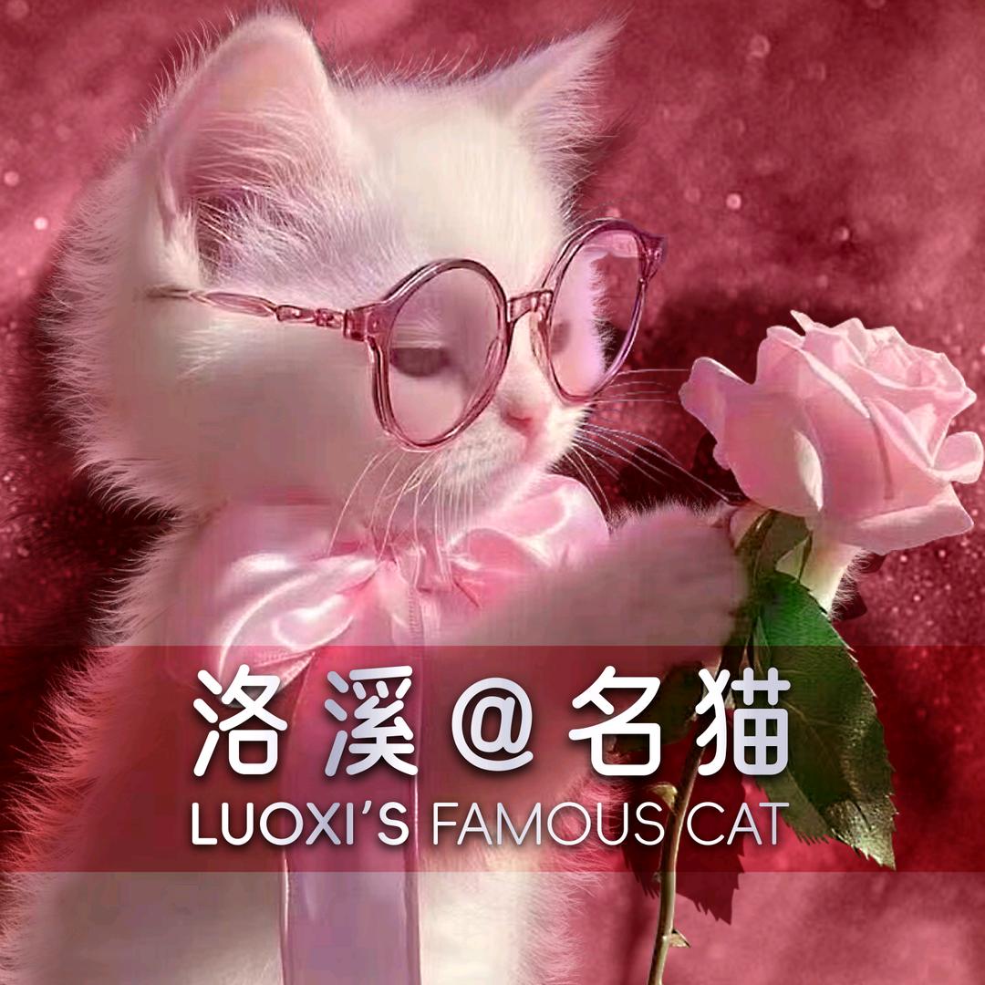 洛溪名猫（N只塞凯售猫）