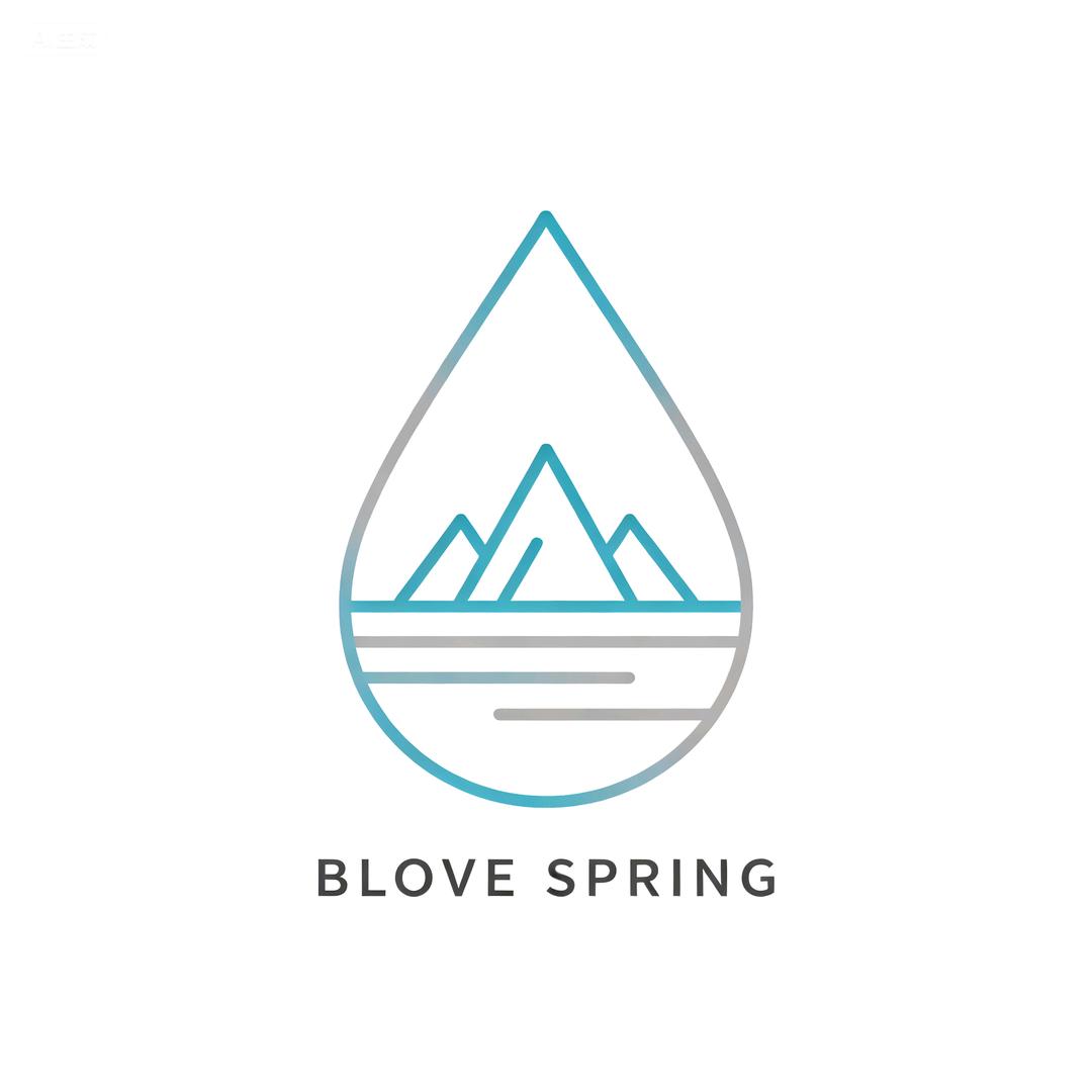 布汝斯普霖净水优品店