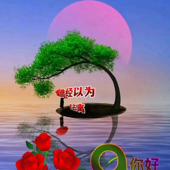 梅婆