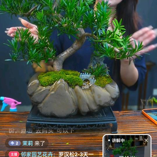 茉莉