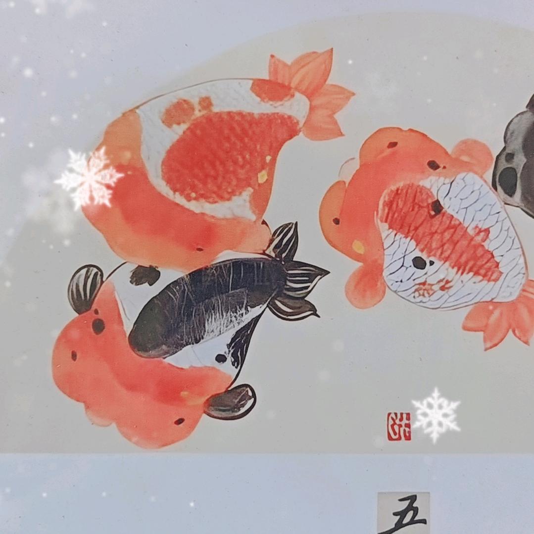 兴国鳍然萌宠精选小铺