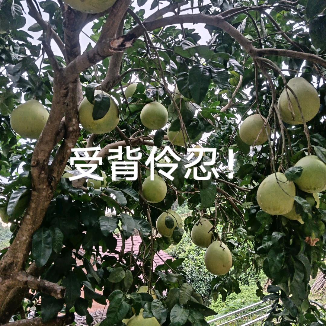 老帅哥