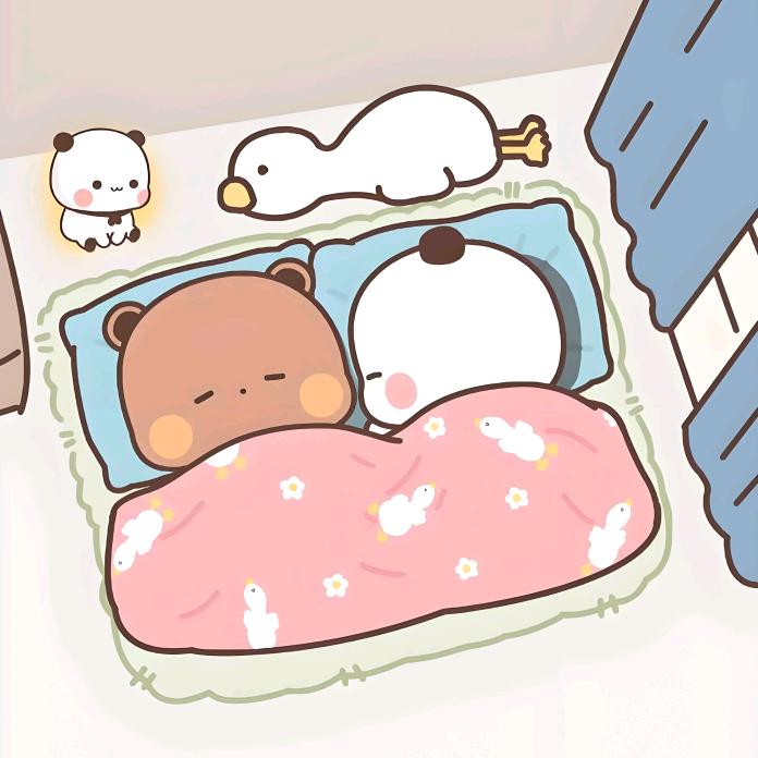 一二喜欢布布💕