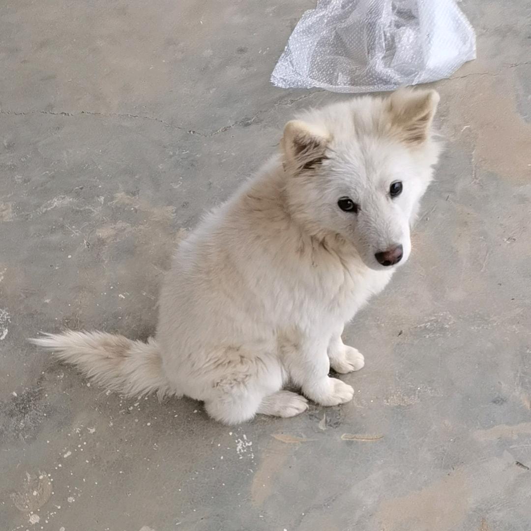 湖北钟祥帅男人