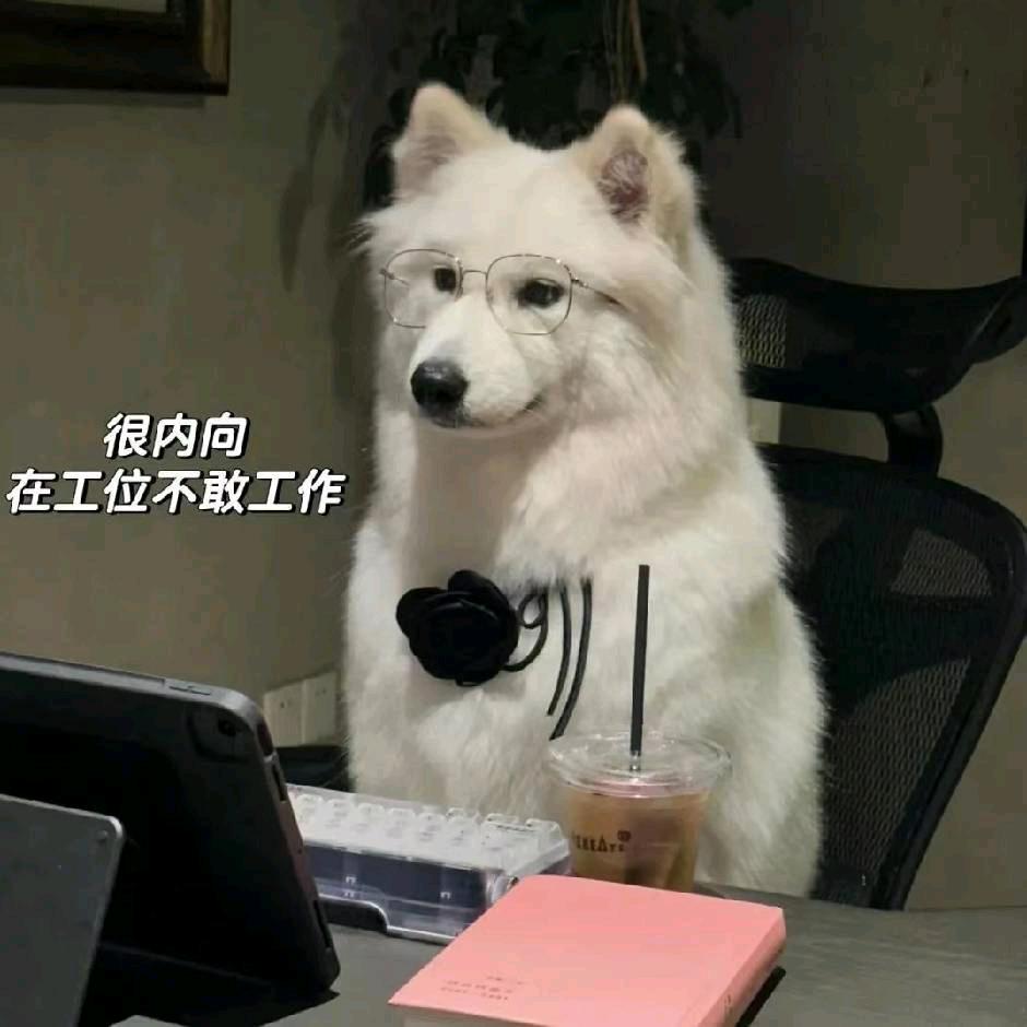 狩黑猎雷🎣