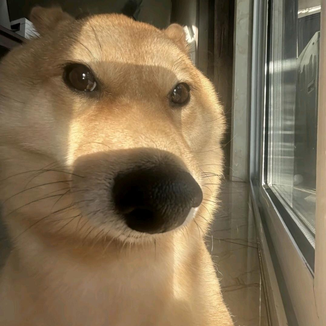 佳一