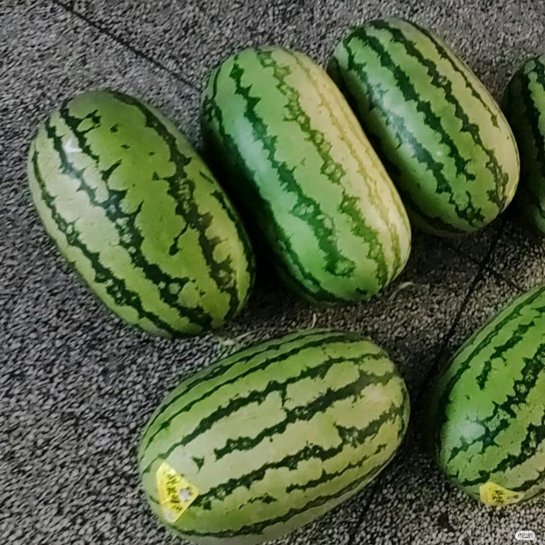 人际心理疗愈师·大西瓜（☯）