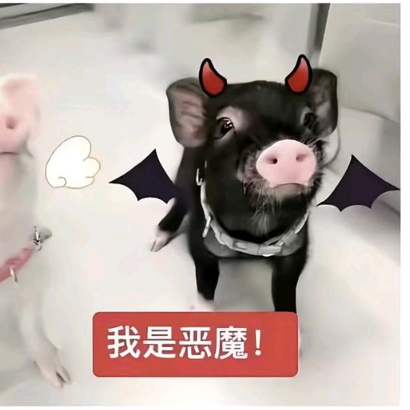 嘉心饼干🍪