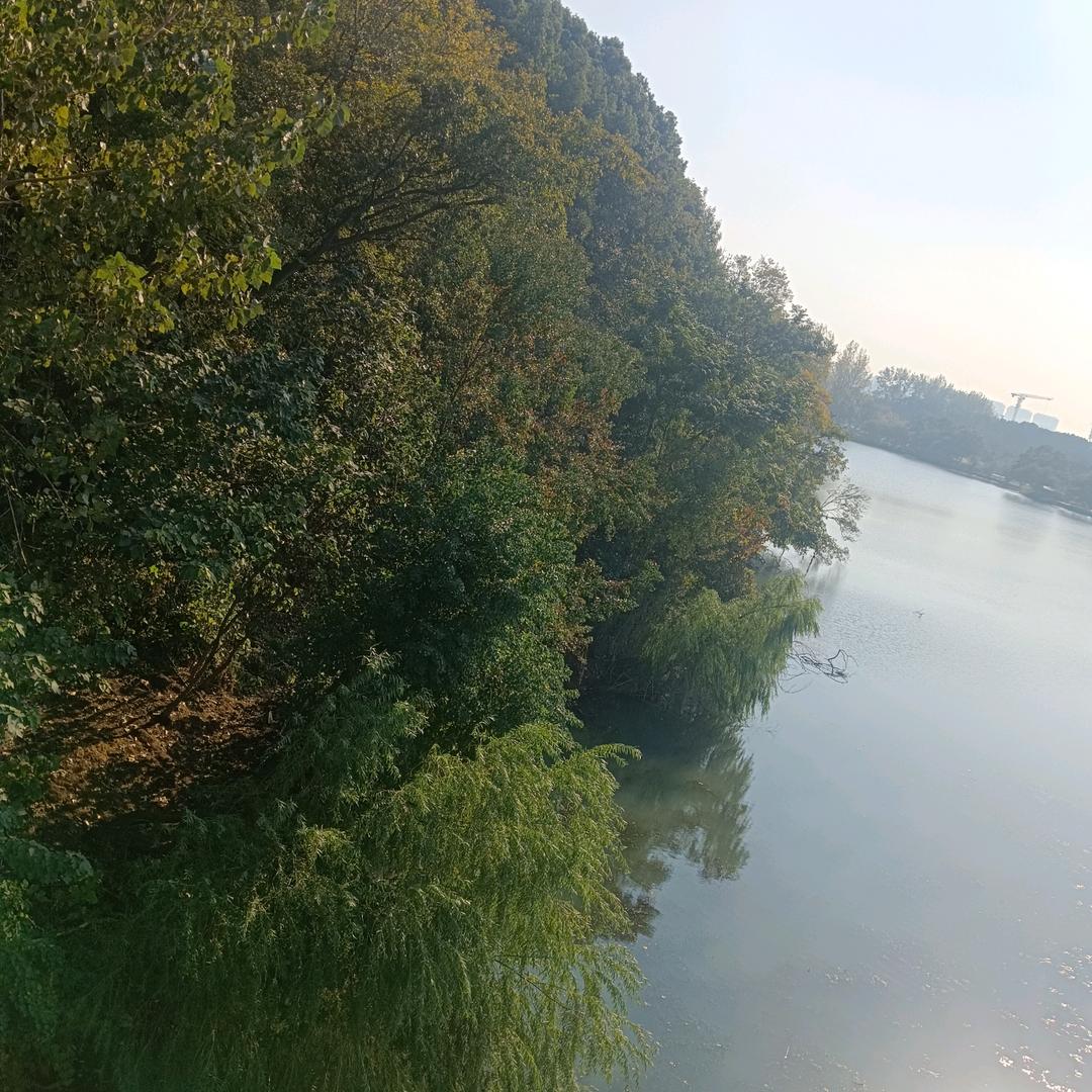 你是我的唯一