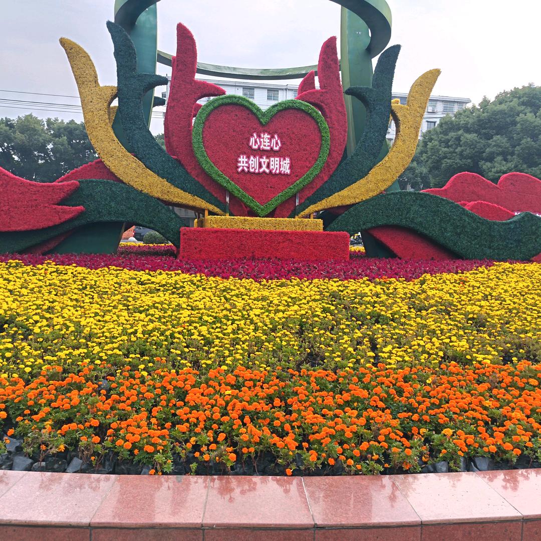 农民伯伯