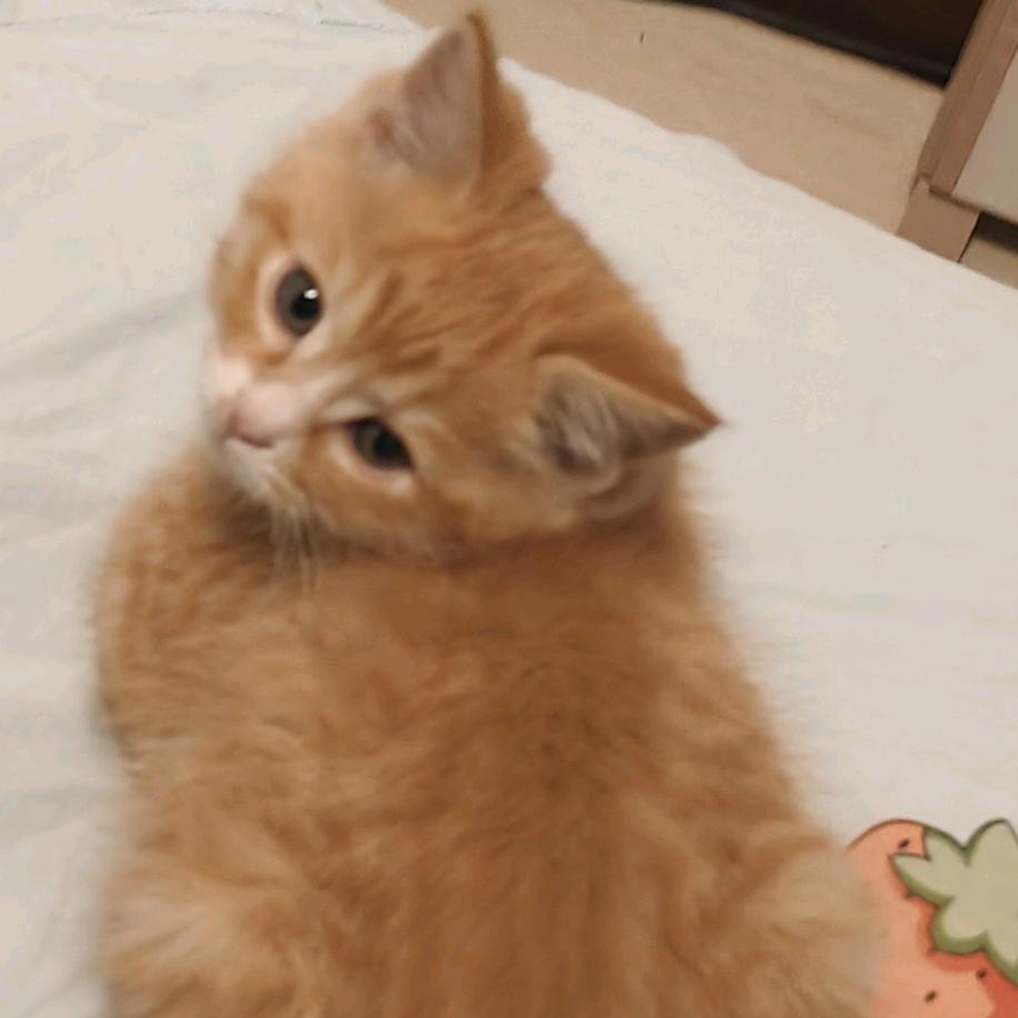一缕小清风