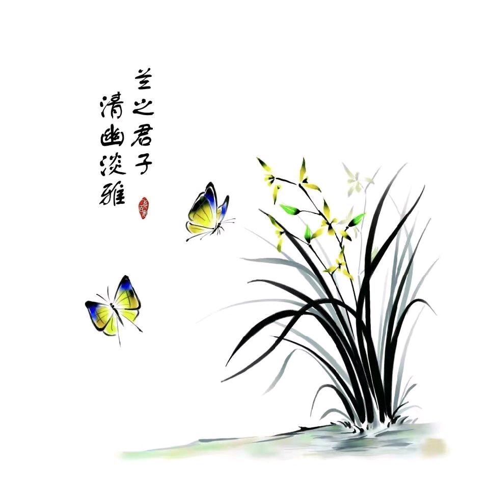 茂茂