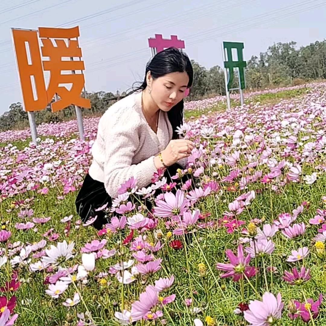 国龙瓷砖～花仙子
