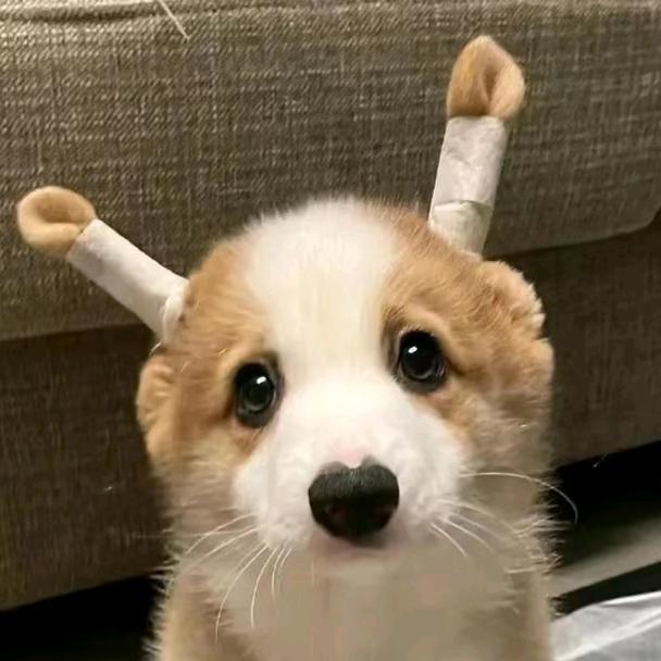 Up~